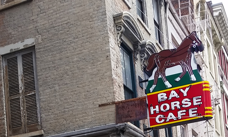 bay horse sign