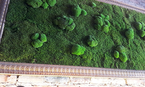 Moss wall